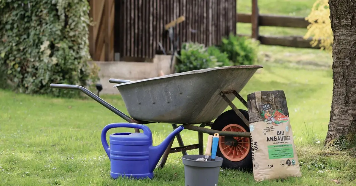 Come Creare un Giardino Sostenibile: Tecniche e Consigli Utili