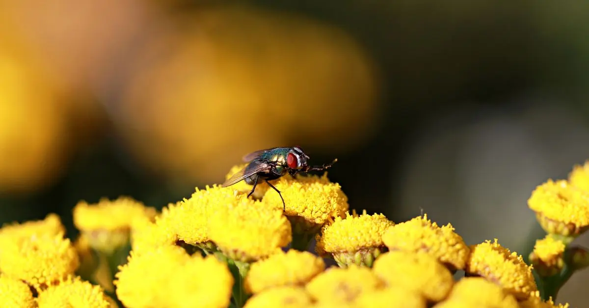 Il Ruolo degli Insetti nel Giardino