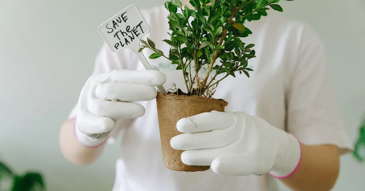Tutto quello che devi sapere sul Giardinaggio Sostenibile