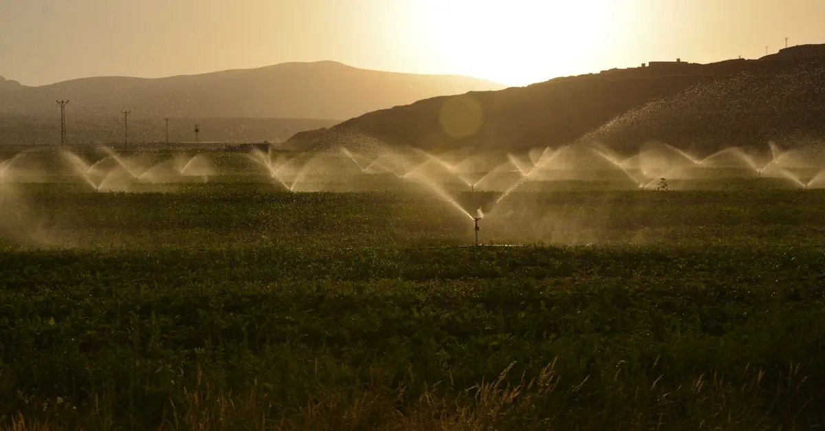 Come Installare un Sistema di Irrigazione a Goccia