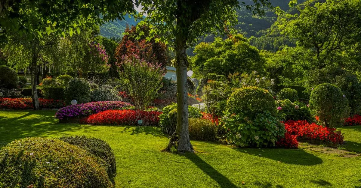 Come Creare un Giardino Sostenibile e Resiliente