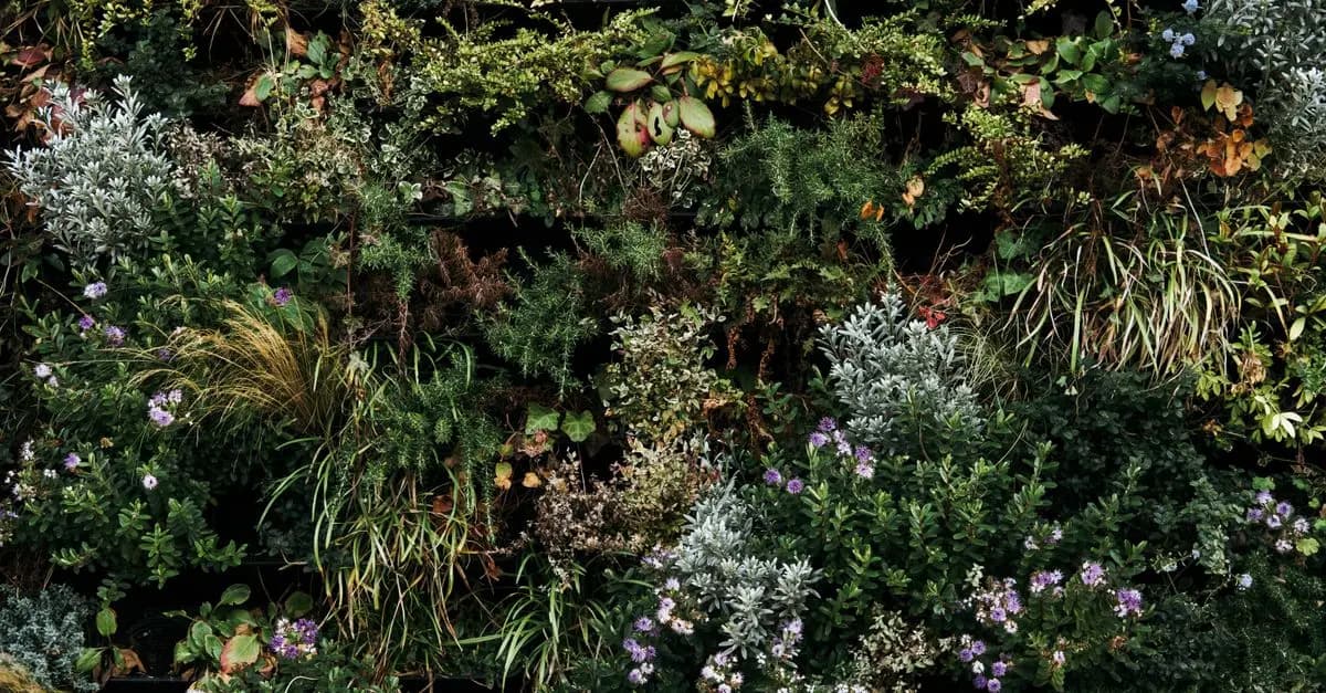 Giardini Sensoriali: Creare Un'Esperienza Unica