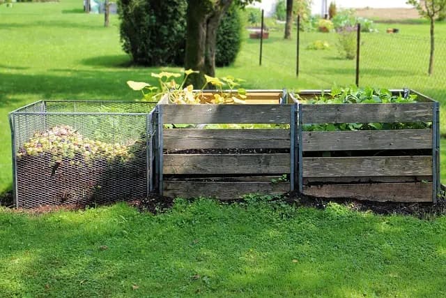 10 Consigli per Mantenere un Giardino Sostenibile e Fiorito