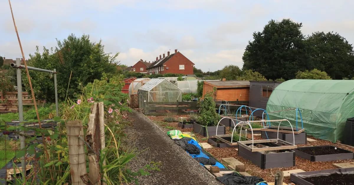 Come Creare un Giardino Sostenibile: Tecniche e Materiali