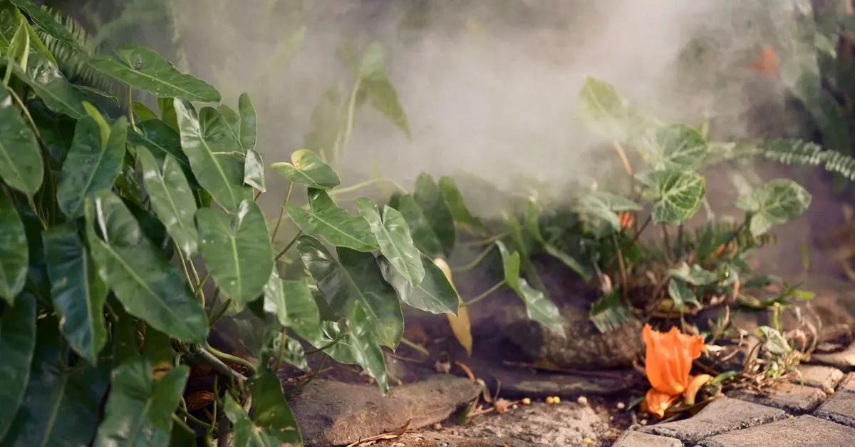 Piante Rare per il Giardino: Come Scegliere e Curare