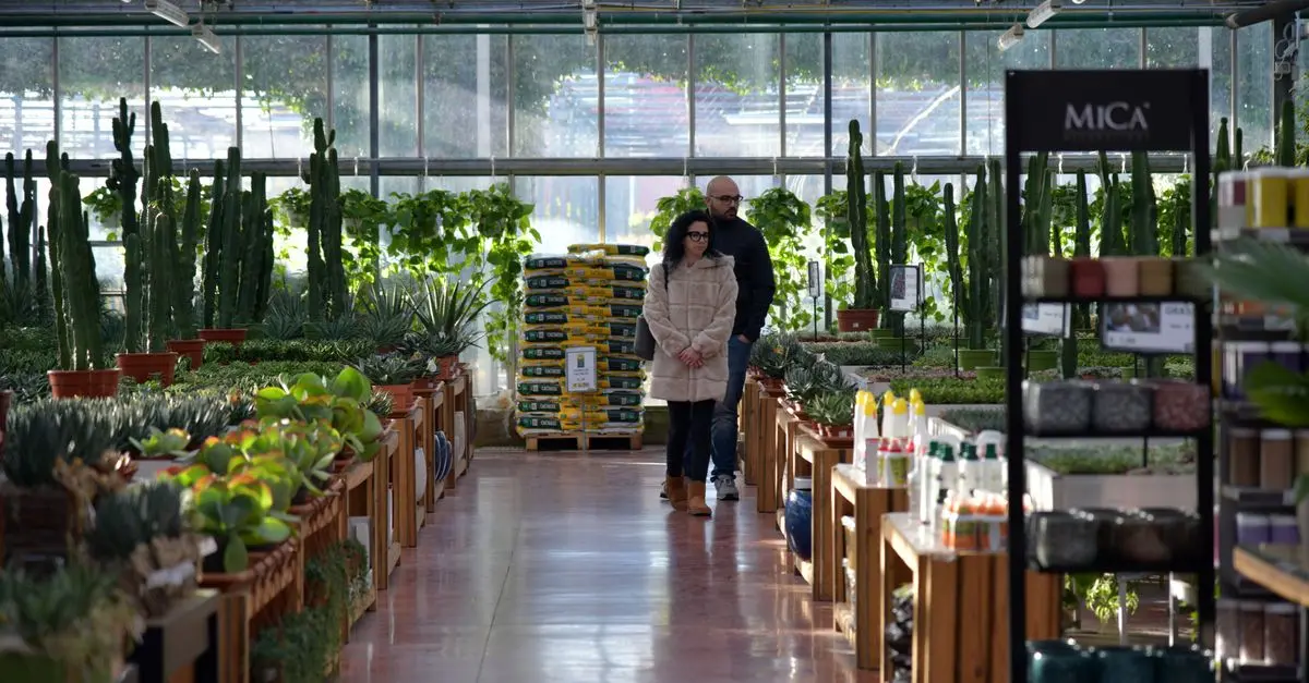 Strategie per Coltivare Piante da Giardino in Clima Freddo