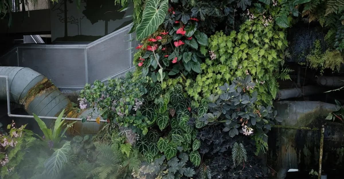 Guida Pratica alla Creazione di un Giardino Sostenibile