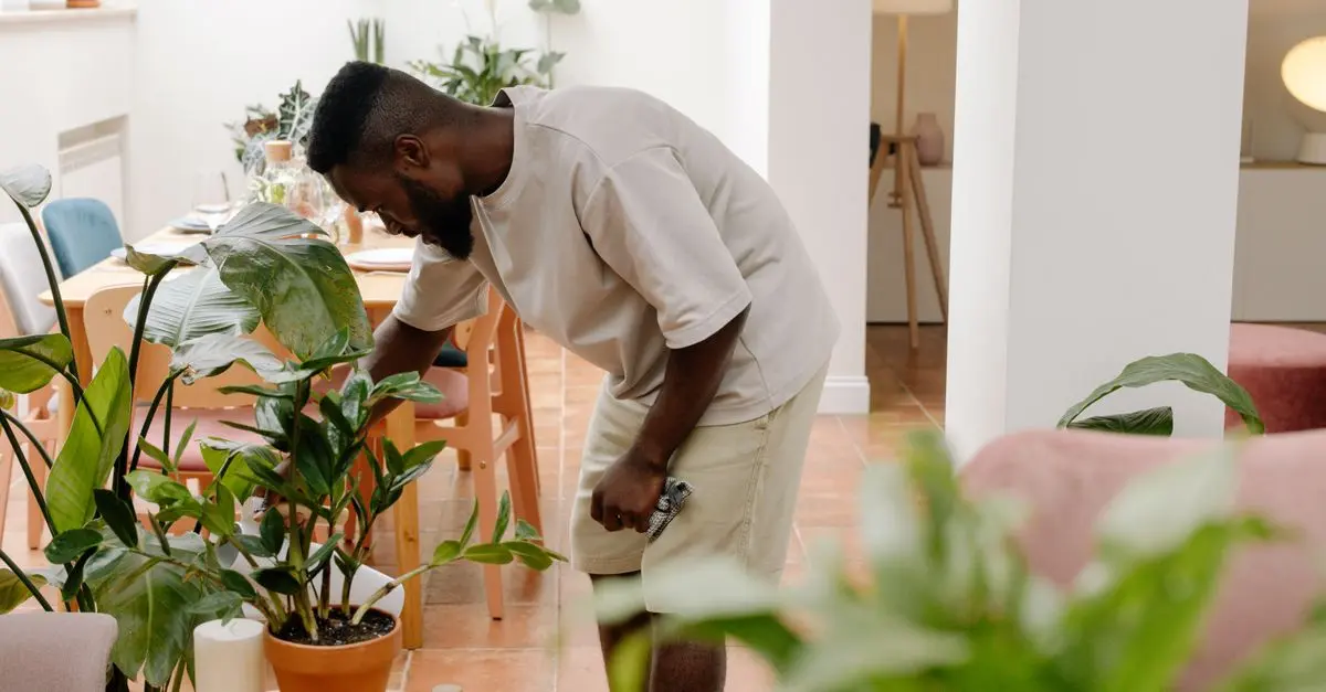I Benefici del Giardinaggio Indoor: Guida Completa