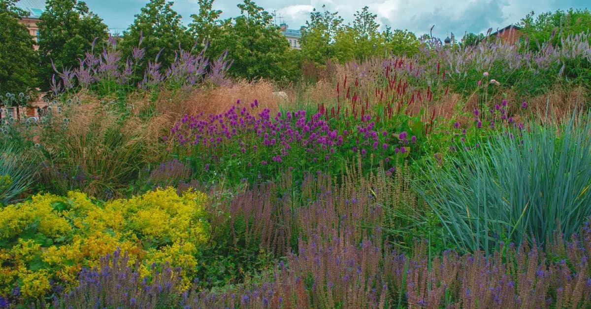Come Scegliere le Piante per il Giardino: Guida Pratica