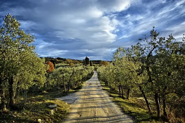 Come Scegliere le Piante Perfette per il Tuo Giardino