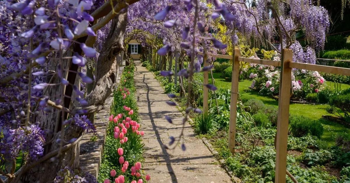 Organizzazione del Giardino: Idee e Suggerimenti