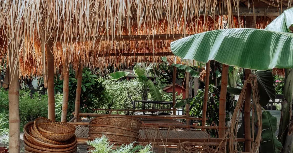 Come Coltivare un Giardino Sostenibile: Guida Alla Pianificazione
