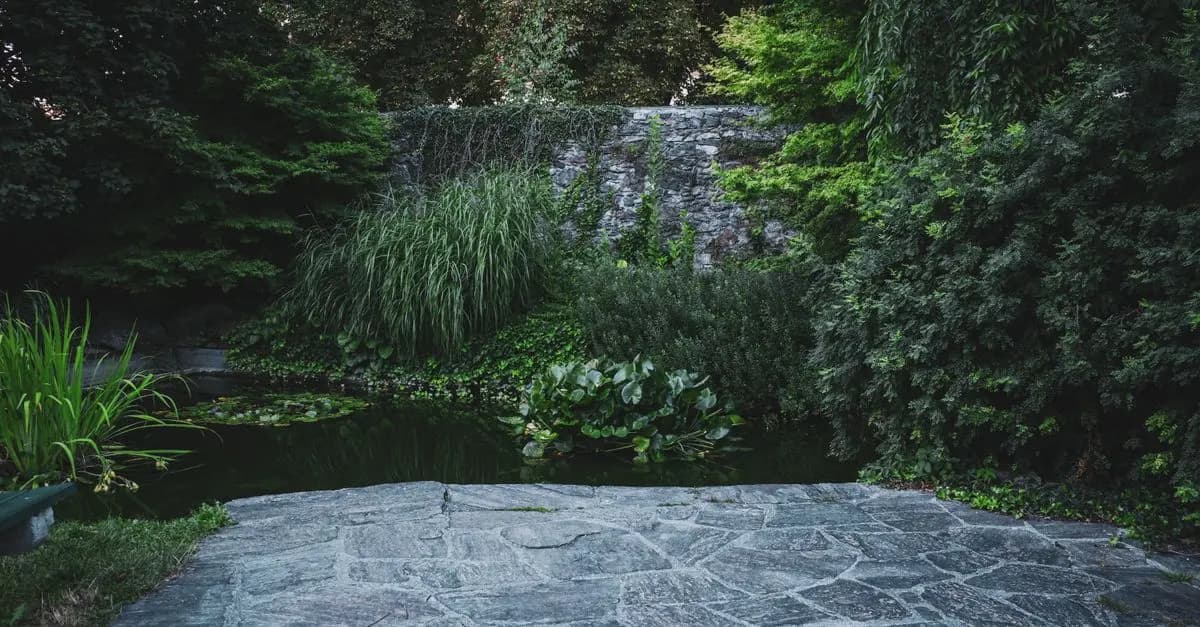Come Progettare un Giardino da Sogno