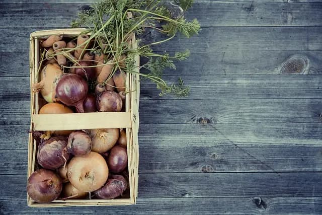 Come Creare un Giardino Aromatico Resistente: Guida Completa