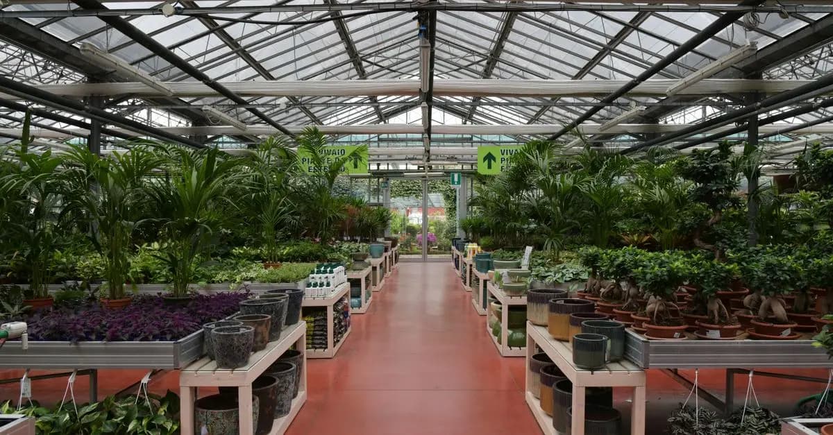Valutazione dei Migliori Fertilizzanti Naturali
