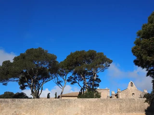 Come Proteggere le Piante dalle Malattie