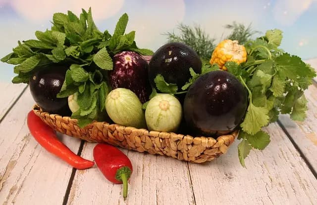 Come Creare un Giardino Aromatico Sostenibile