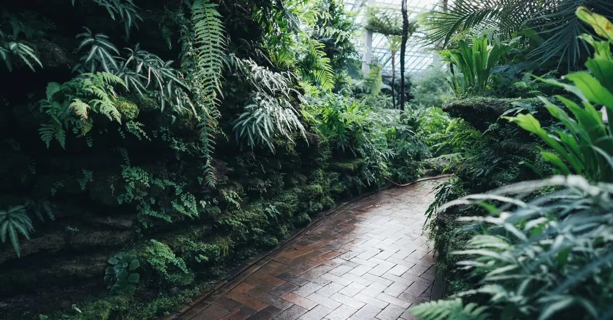 Piante Ideali per Giardini Ombreggiati: Guida Completa
