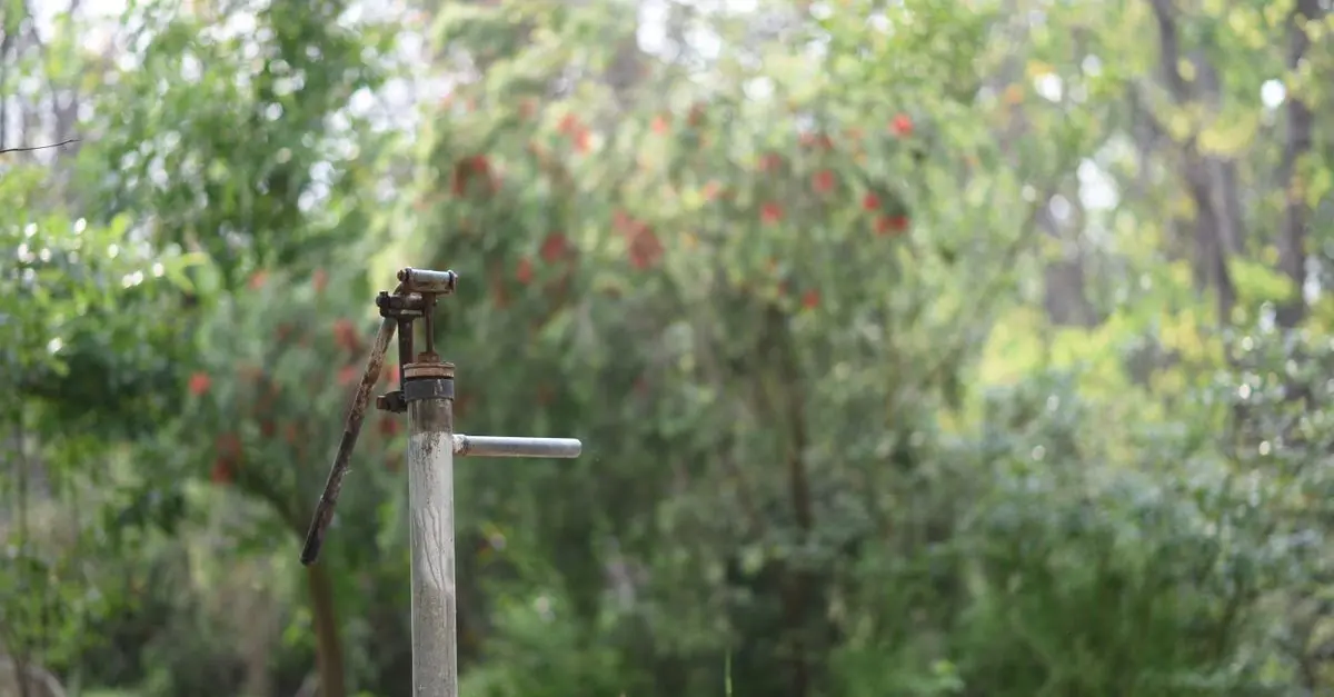 Come Creare un Giardino Sostenibile e Resiliente