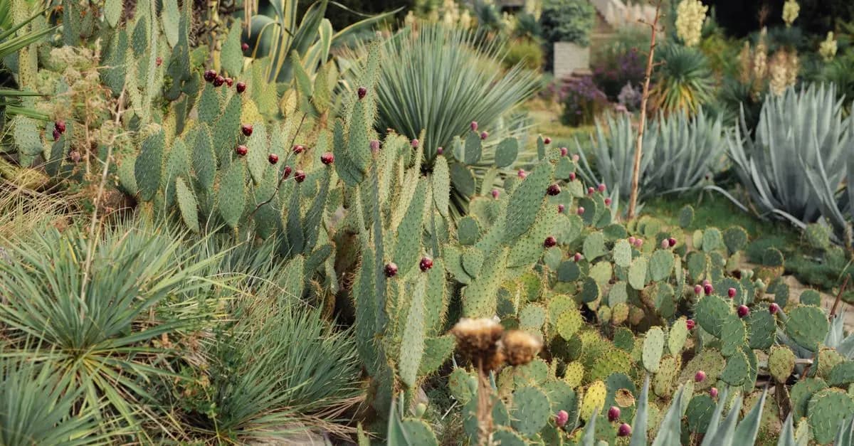 Come Scegliere le Piante per un Giardino Sostenibile