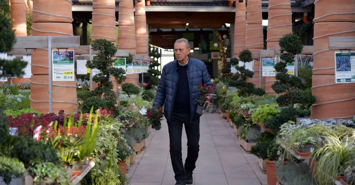 Come Scegliere le Piante Ideali per il Tuo Giardino