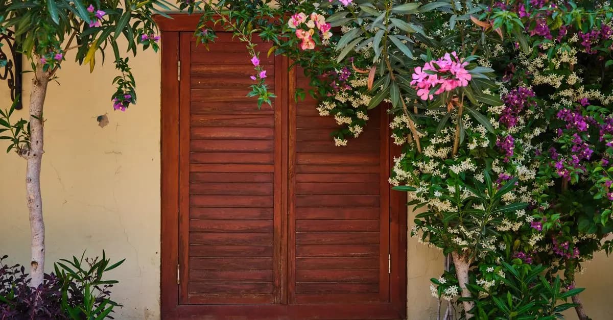 10 Errori da Evitare nel Giardinaggio Domestico