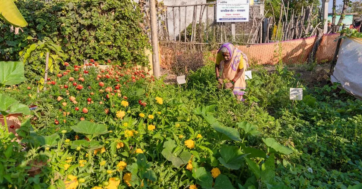 Come Creare un Giardino Sostenibile: Tecniche e Consigli Utili