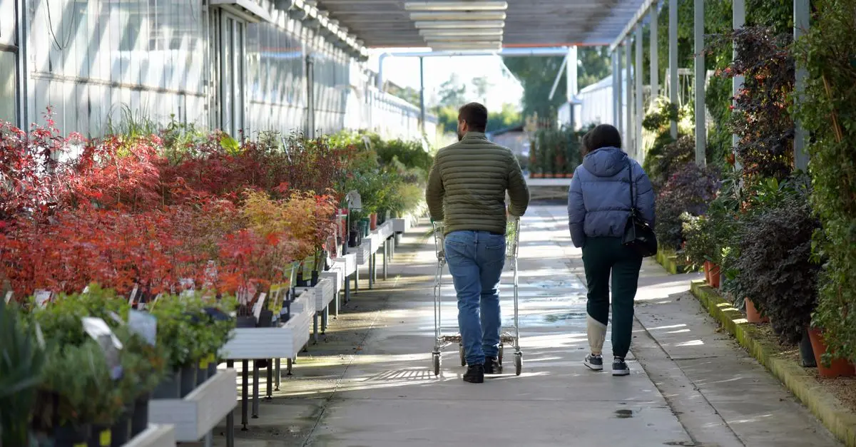Le Migliori Piante da Giardino per Ogni Stagione