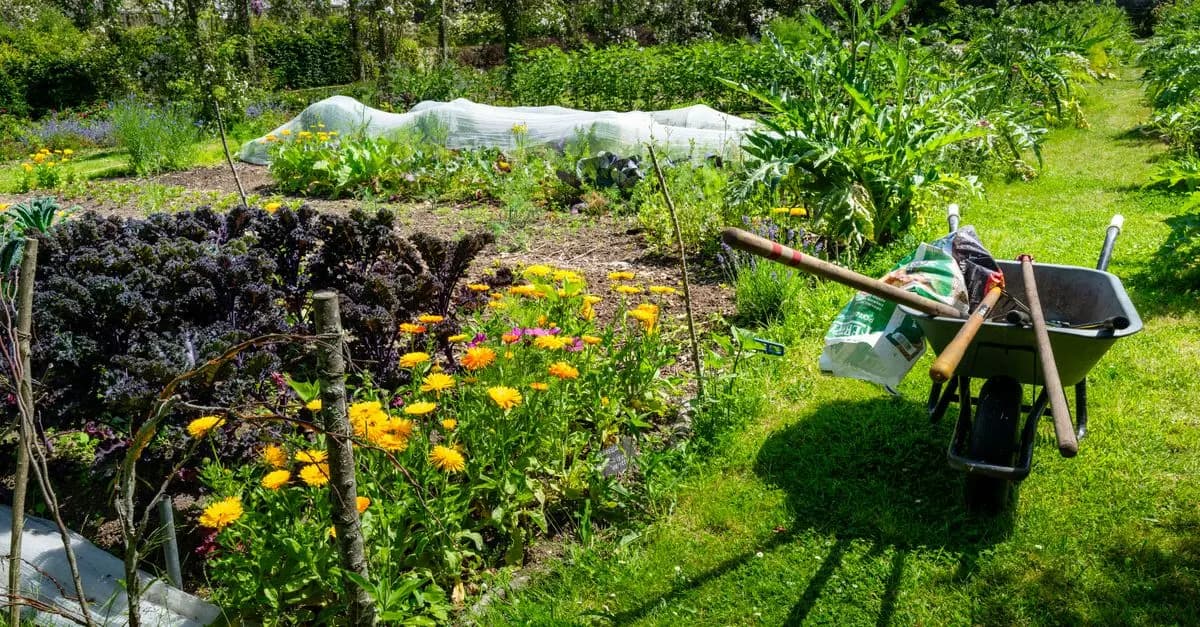 10 Piante Sostenibili per il Tuo Giardino