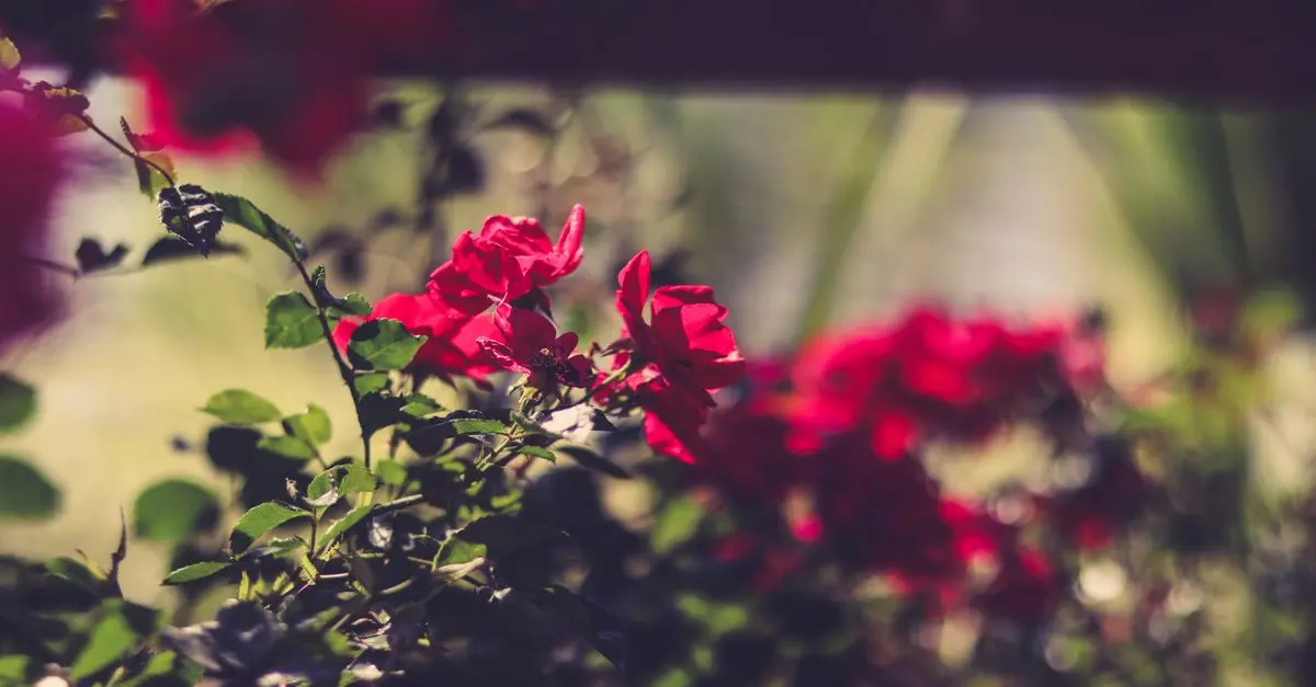 Come Realizzare un Giardino Sensoriale: Guida Pratica