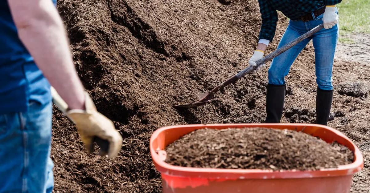 10 Consigli per un Giardinaggio Sostenibile