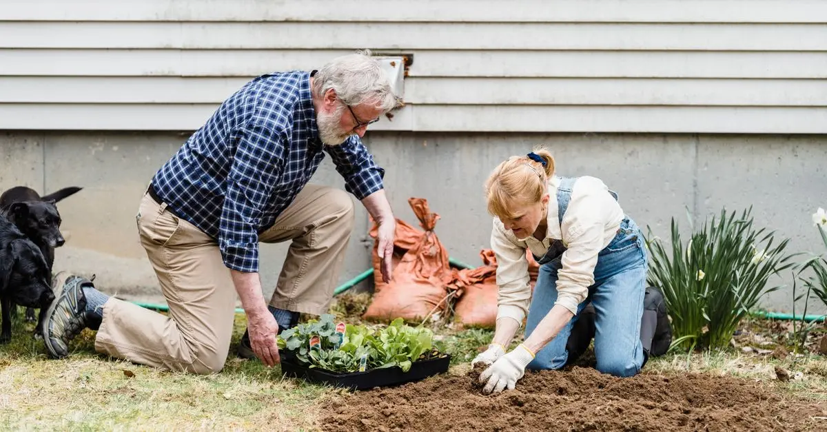 Come Utilizzare il Compost per Nutrire il Tuo Giardino