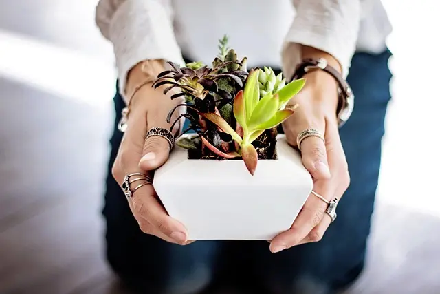 Come Scegliere le Migliori Piante per il Tuo Giardino