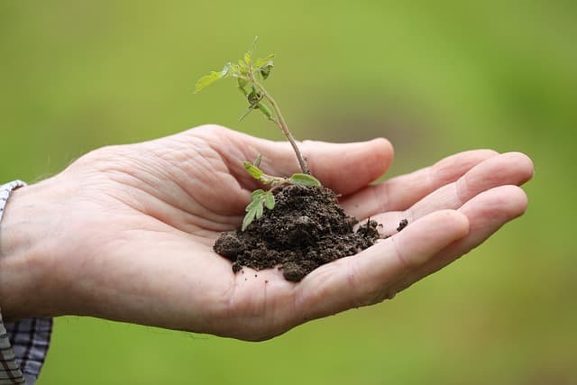 I 10 Migliori Consigli per Giardinare in Modo Sostenibile