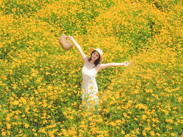 Come Scegliere le Piante Perfette per il Tuo Giardino
