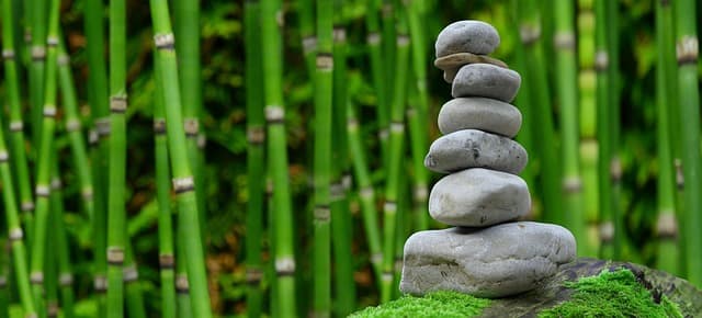 Come Realizzare un Giardino Zen: Guida Completa