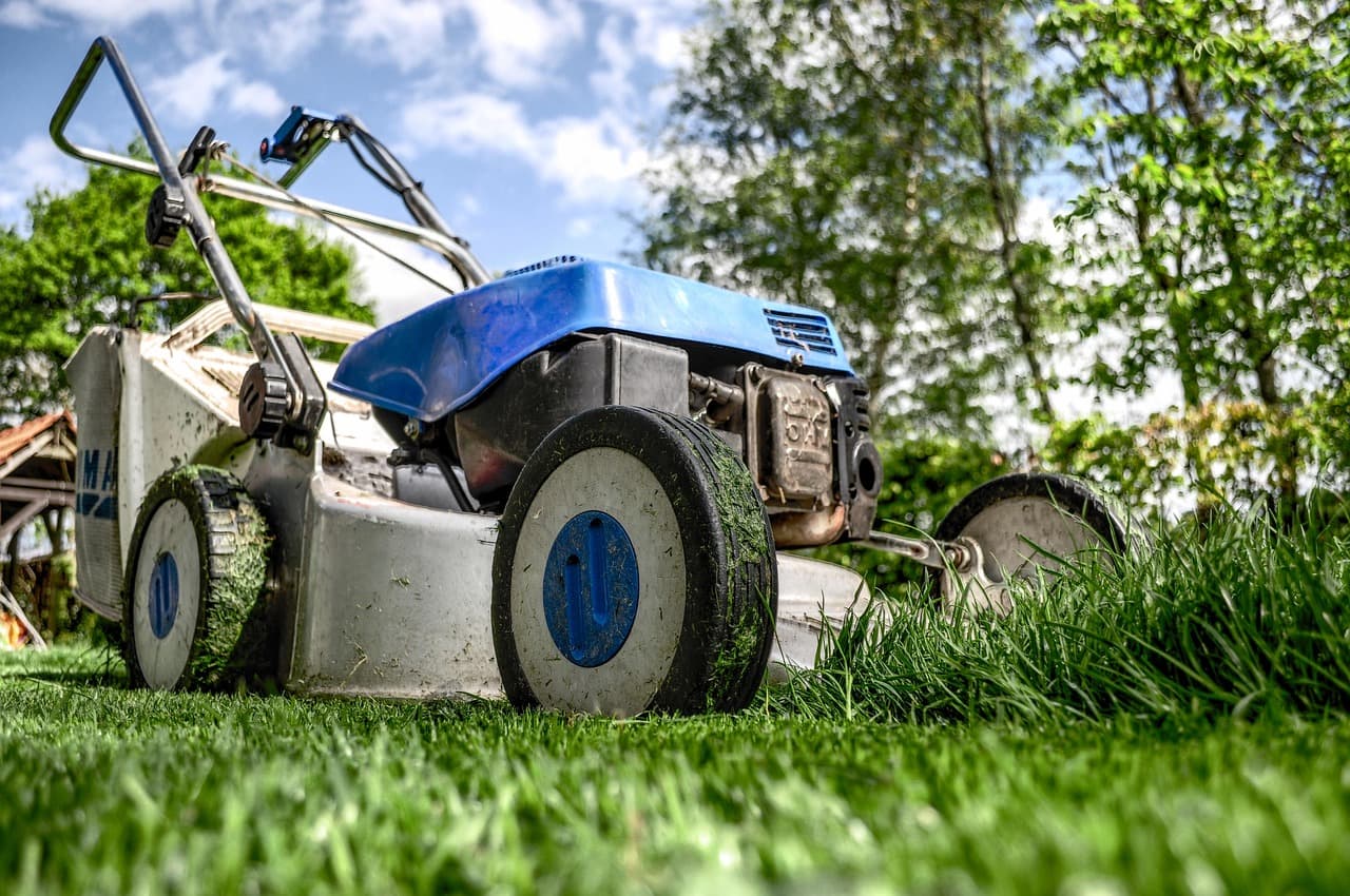 Come Scegliere le Giuste Attrezzature per il Giardinaggio